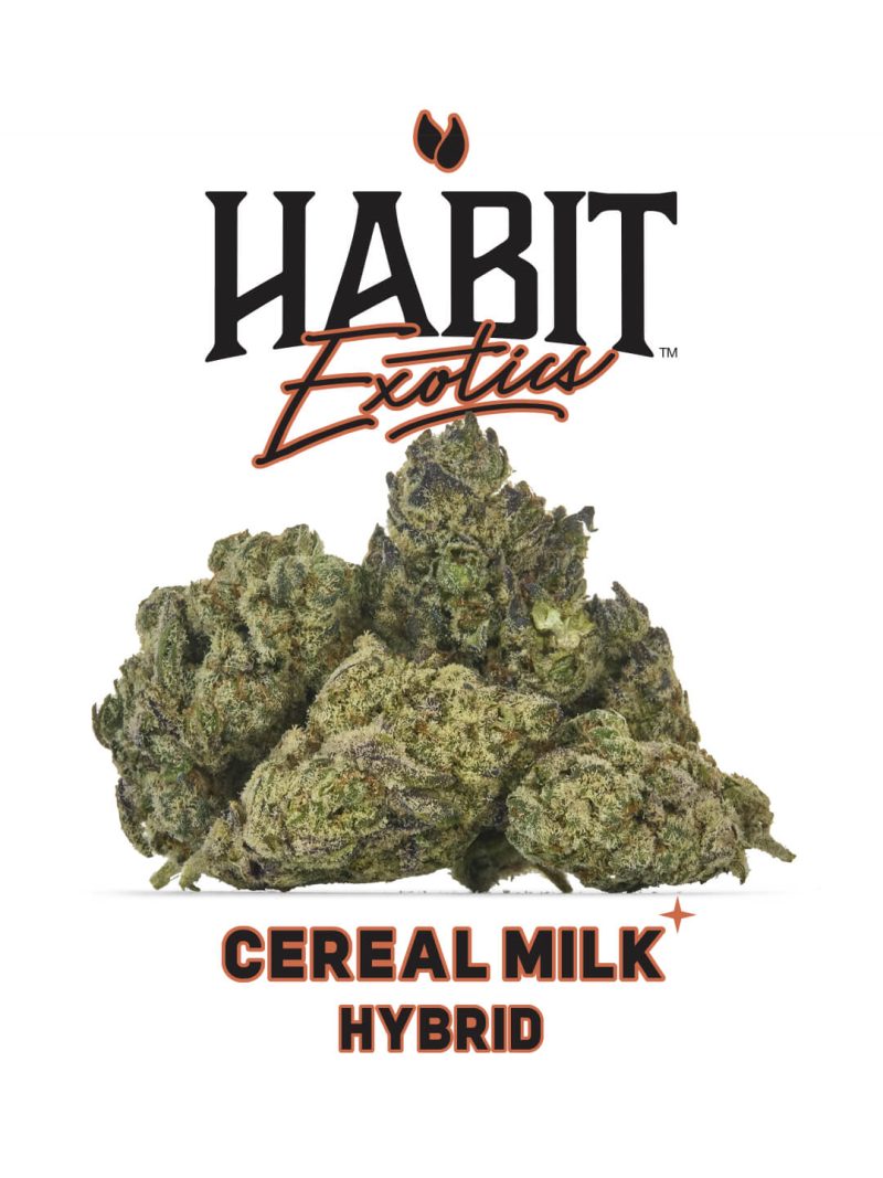 Habit THCA Exotics Flower Cereal Milk f1491d14 666c 4d3d ab39 9876d3bd17e6