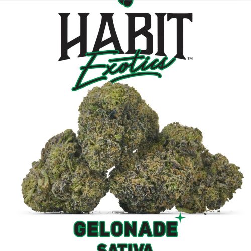 Habit THCA Exotics Flower Gelonade