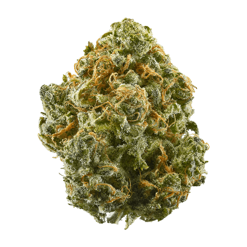 blue dream sativa exotic thca flower platinum coastal hemp co 2