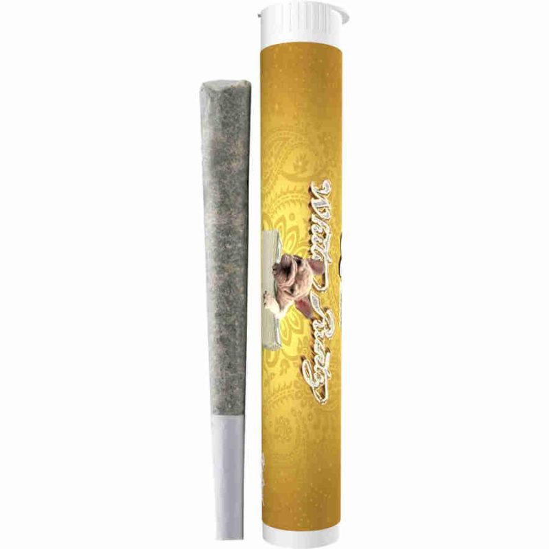 Ice Kream Reserve THCA Pre roll (1G) - Coastal Hemp Co