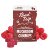 Amanita Road Trip Mushroom Gummies | Shop CoastalHemp